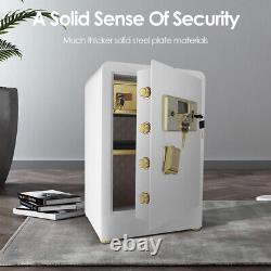 DIOSMIO 2.5Cub Safe Double Lock&Alarm&Password Separate Lock Box Home Office